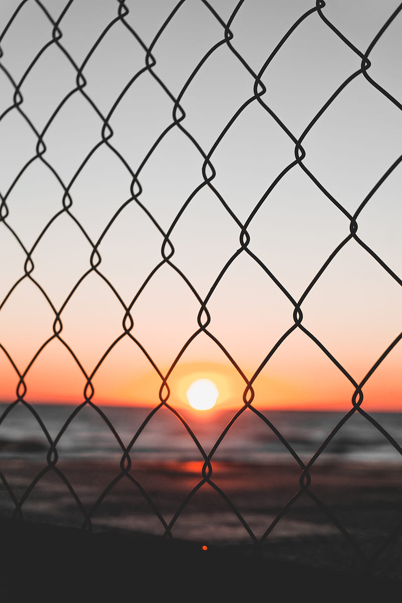 close-up graphy of iron wire fence during golden hour, HD phone wallpaper
