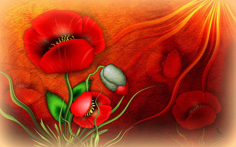 ✰Red Poppies✰, red, colorful, lovely, poppies, colors, love four seasons, bonito, softness beauty, spring, creative pre-made, digital art, raw fractals, red poppies, fractal art, lovely flowers, garden and parks, HD wallpaper