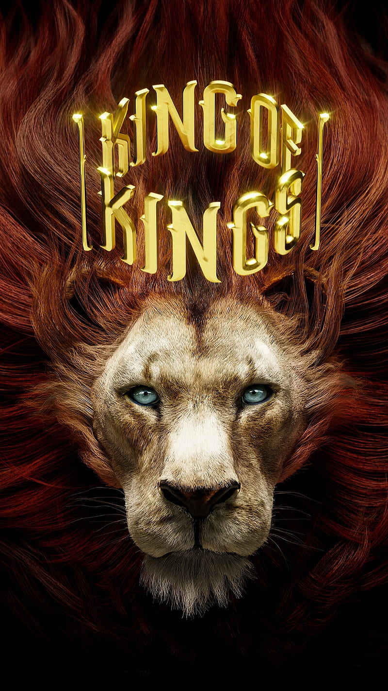 King of kings, animal, blue eyes, drawings, face, lion, lion king, wild, HD phone wallpaper