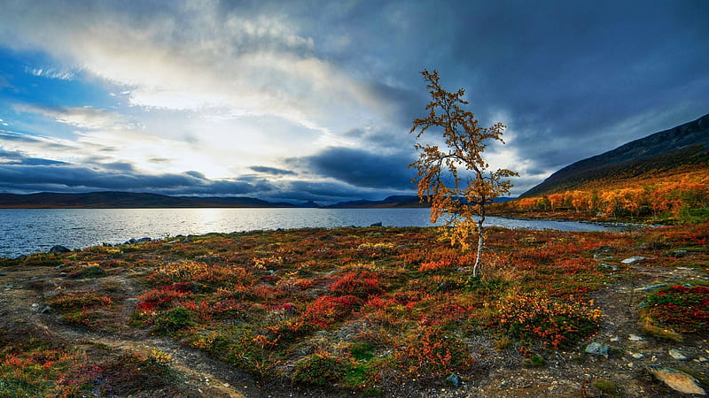 Kilpisjaervi Lake, Lapland, Finland, hills, clouds, landscape, autumn, trees, sky, mountains, HD wallpaper