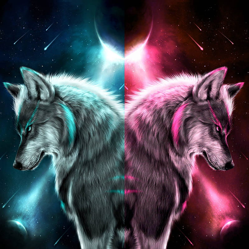 Wolf wall, wolves, HD phone wallpaper