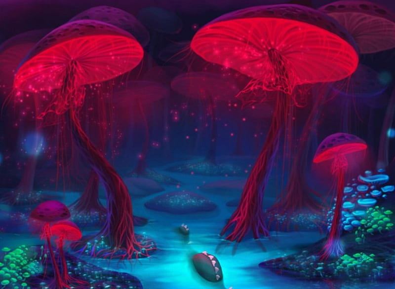 Magical Forest Mushrooms, traps, red, forest, fantasy, magical, mushrooms, HD wallpaper