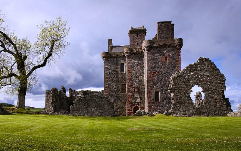 Castle in Ruins, Tree, Castle, Ruins, Medieval, HD wallpaper