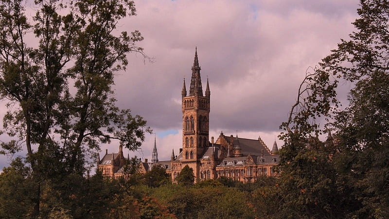 chapel at university of glasgow, chapel, trees, overcast, tower, HD wallpaper