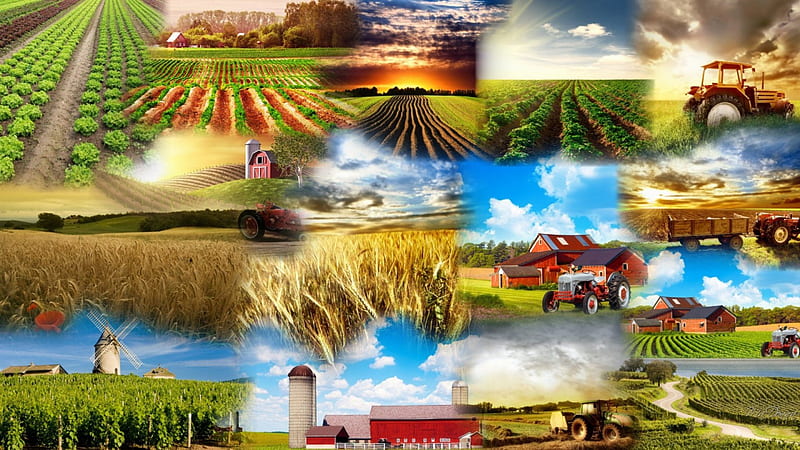 Farmers Collage, windmill, farmers, silo, ranch, farms, tractors, collage, country, sky, barn, fields, HD wallpaper
