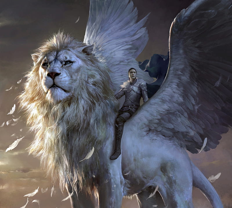 Lion Pegasus, predator, art, wings, girl, HD wallpaper