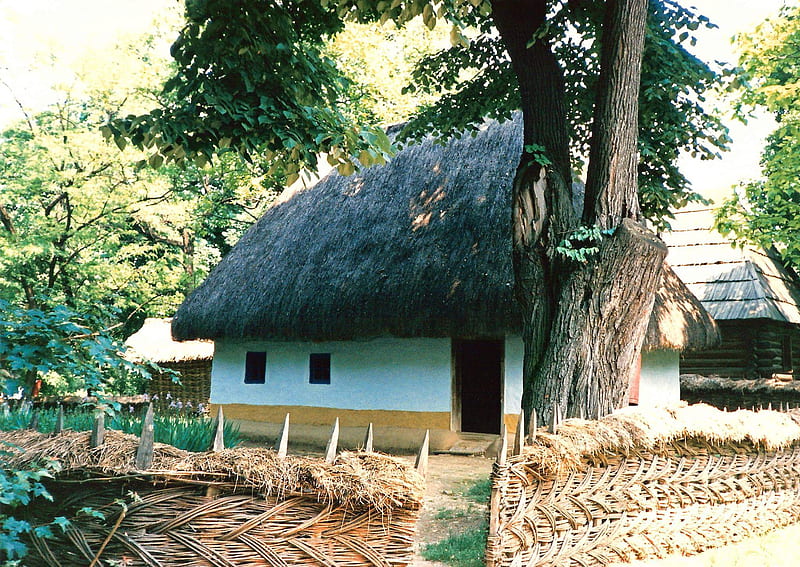 Village Hut, museum, romania, HD wallpaper
