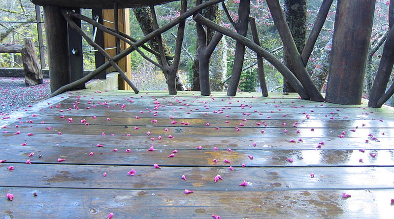 Sakura fallen flowers, Floor, fallen flowers, Sakura, Observation Deck, wood, HD wallpaper