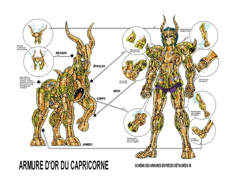 saint seiya: TLC: Capricorn El Cid, armor, gold, soldier, cloth, diagram, HD wallpaper