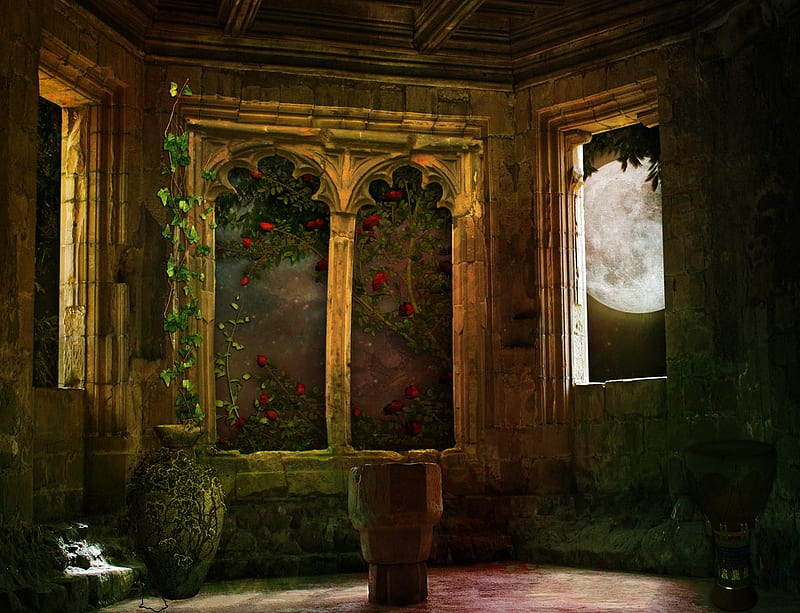 Castle Window, moon, window, darkness, dark, roses, castle, ivy, night, HD wallpaper