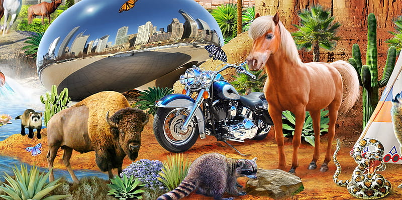 :-), fantasy, luminos, adrian chesterman, horse, raccoon, animal, motorcycle, HD wallpaper
