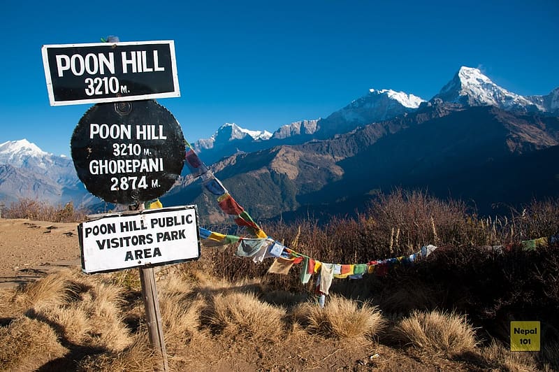 Ghorepani Poon Hill Trek, nepal, nature, mountain, travel, HD wallpaper