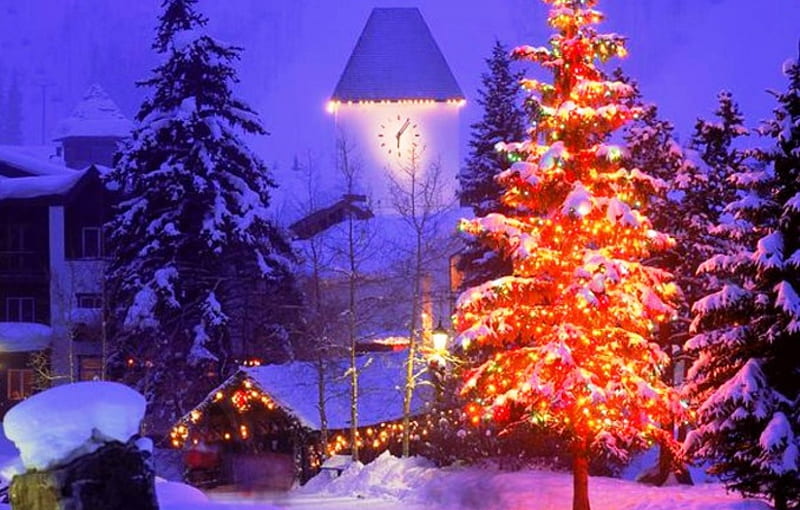 Christmas tree, Christmas, holidays, house, blessed, bonito, magic, winter, tree, snow, decorations, nature, season, light, night, HD wallpaper