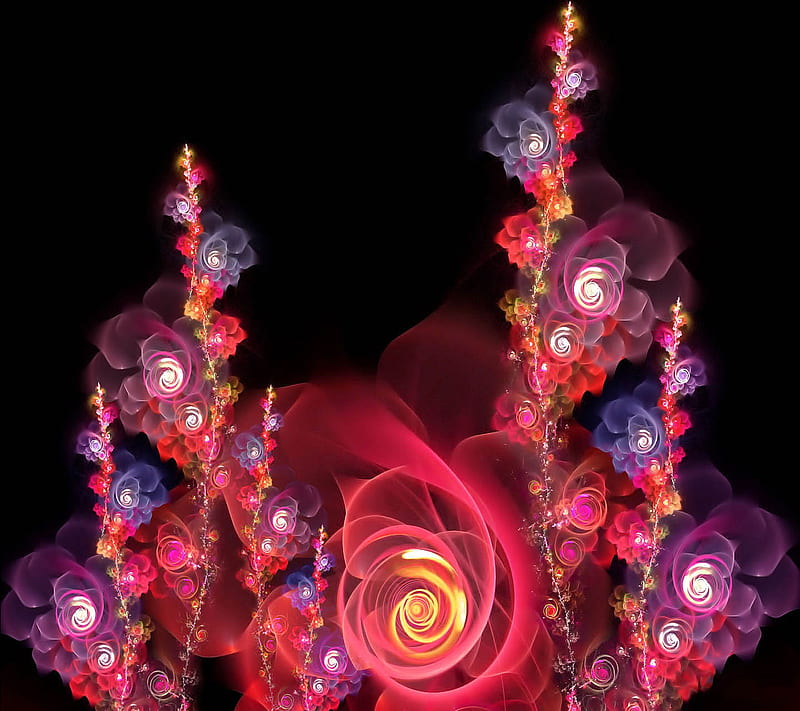 Abstract, roses, HD wallpaper
