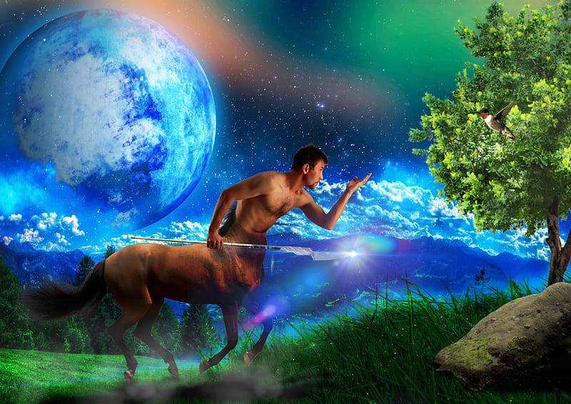 Centaur With Nature, Forest, Manipulation, Light, bonito, Communication, Fantasy, Nature, Horse, 3D, Human, Centaur, Tree, HD wallpaper
