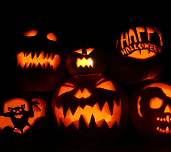 Halloween Background, halloween, celebrations, holidays, pumpkin, bat ...