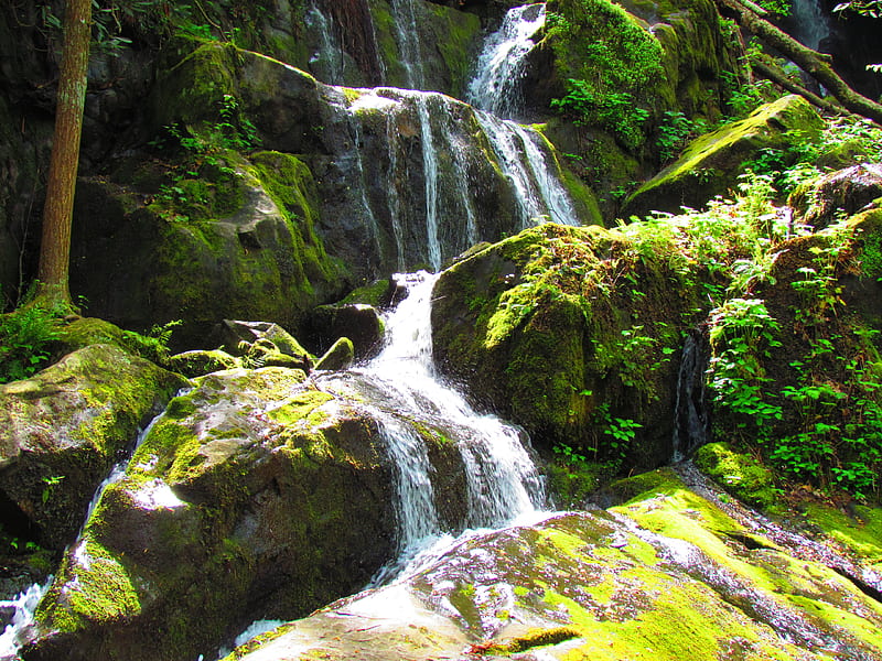 Small Waterfalls In Tennesee, nature, bonito, gatlinburg, breath taking, HD wallpaper
