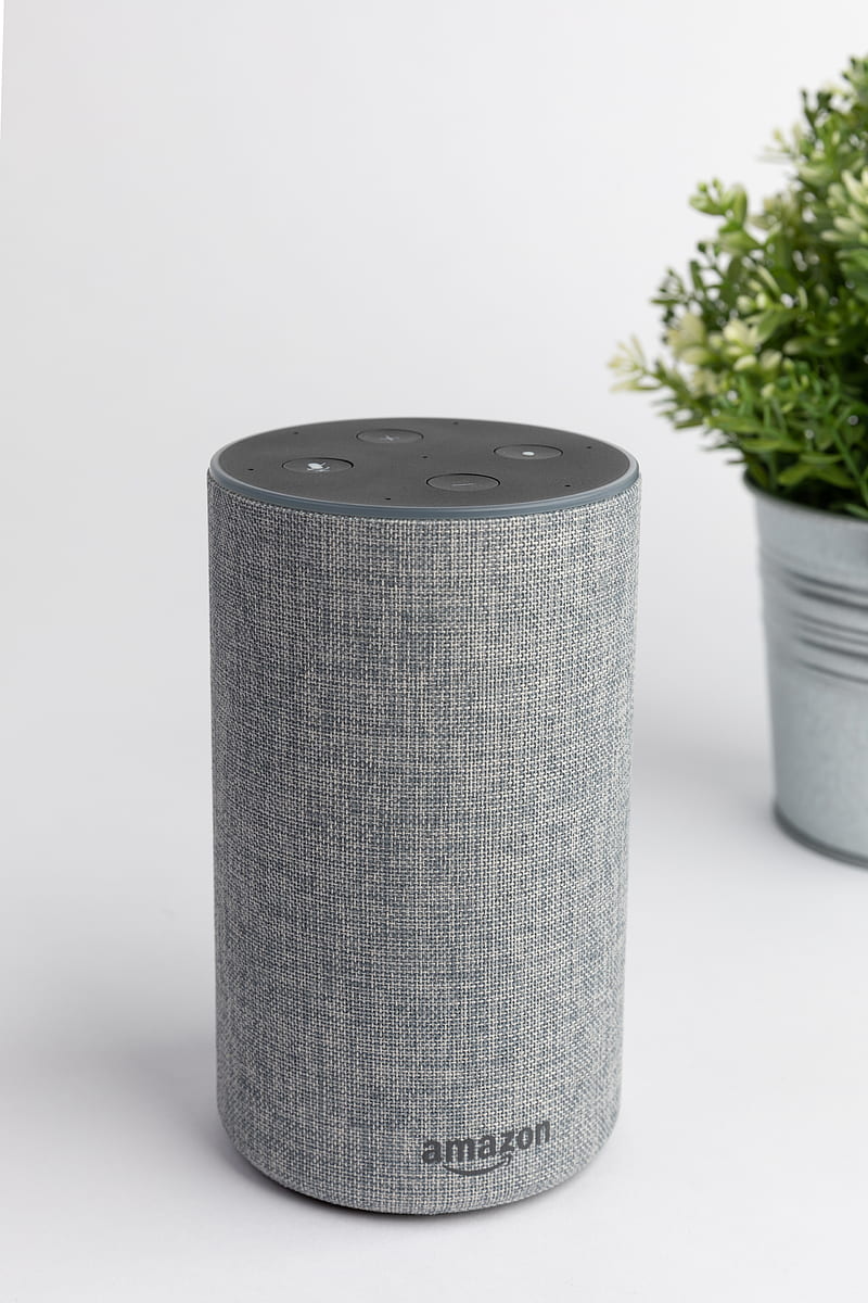 gray Amazon Echo portable speaker, HD phone wallpaper