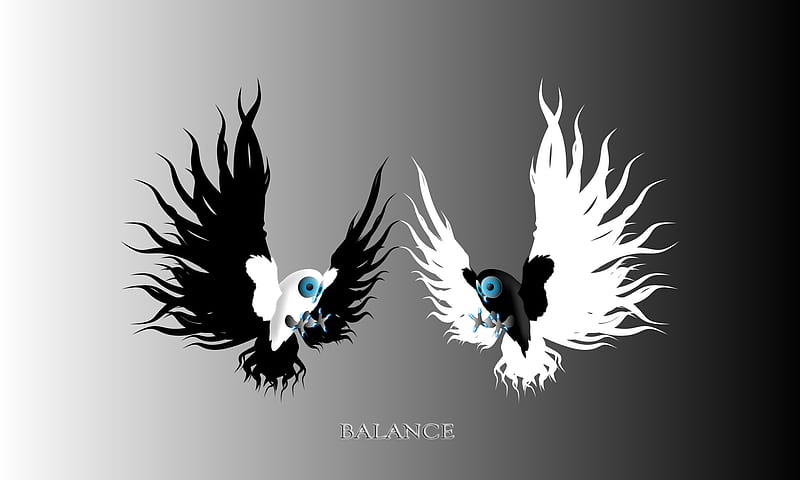 Balance, owl, black, sign, bonito, abstract, owls, 3d, contrast, white, animals, HD wallpaper