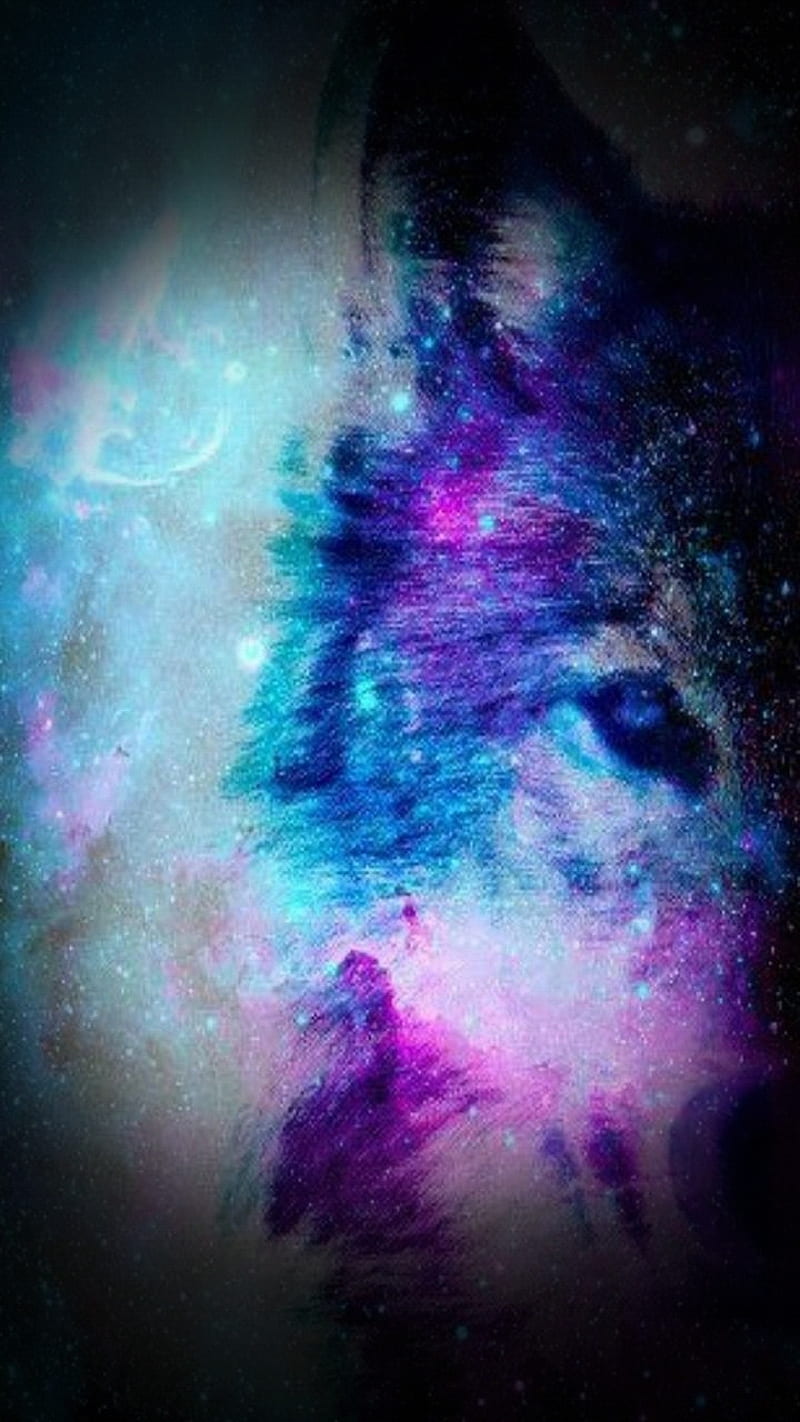Wolf, cats, dog, dream, galaxy, moon, wolves, HD phone wallpaper