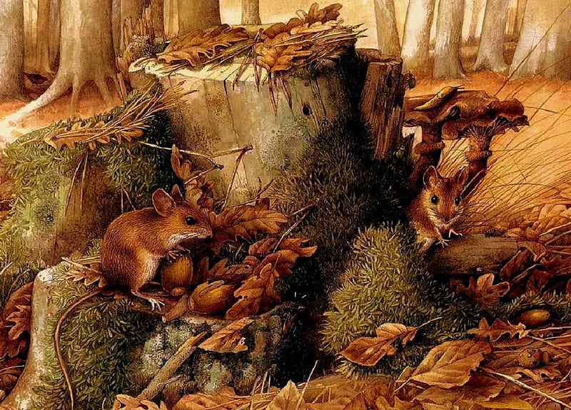 Scamps, field mice, autumn, leaves, mice, woods, trees, tree stump, HD wallpaper