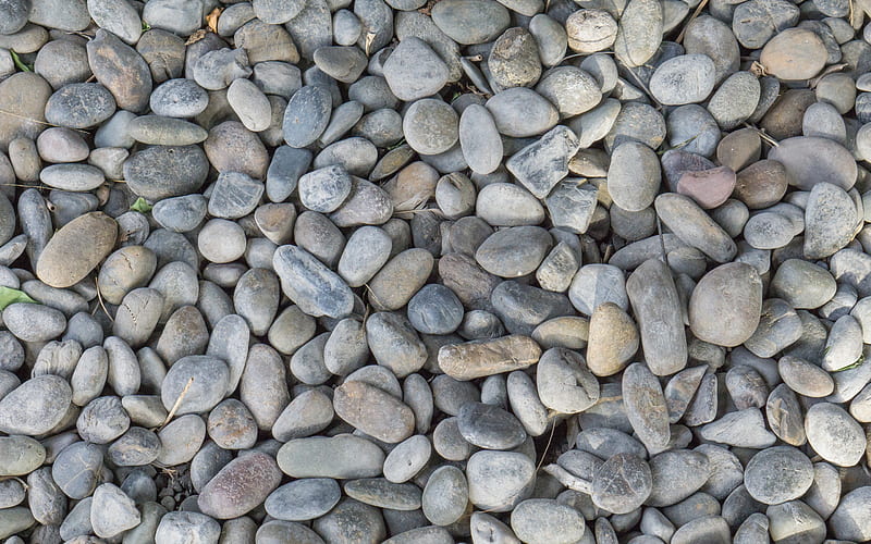 Pebbles, stone texture, coast, sea stones, round large stones, HD wallpaper  | Peakpx