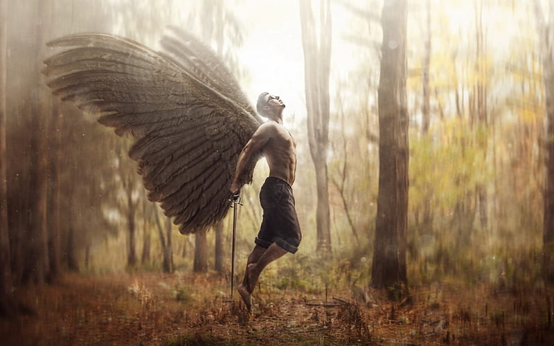 Fallen angel, forest, wings, woods, man, creative, situation, tree, demon, fantasy, feather, HD wallpaper