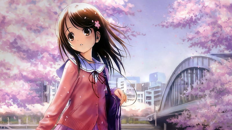 Anime With Sakura Flower-High quality, HD wallpaper