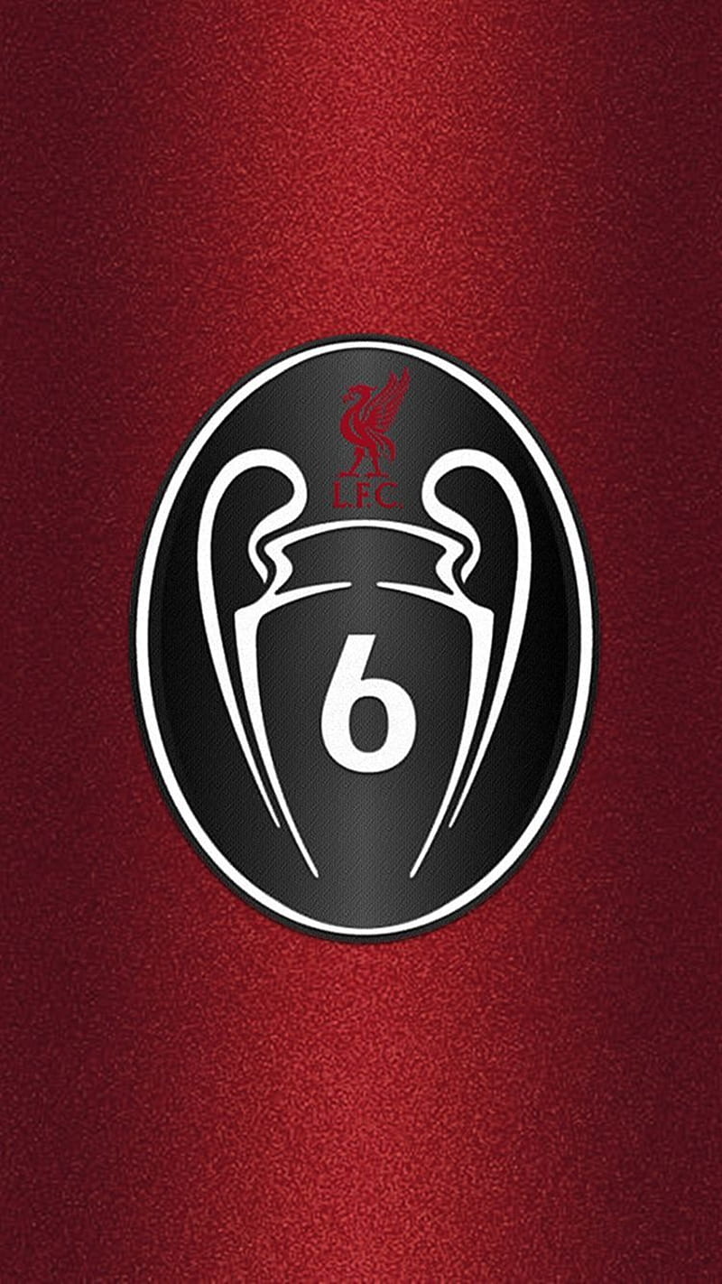 Your never walk alone. Gambar, Sepak bola, Fotografi, Liverpool Champions League, HD phone wallpaper