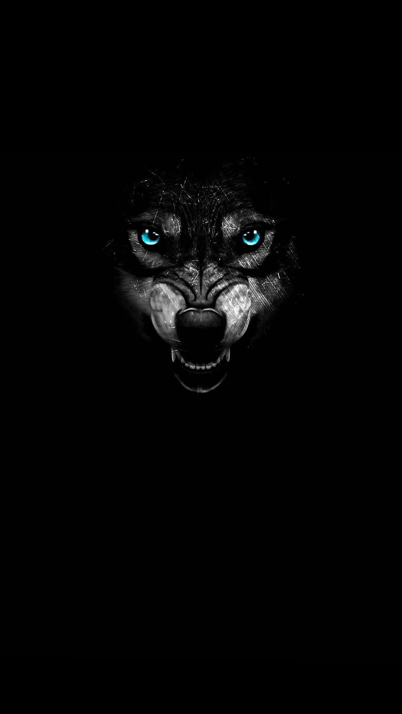Wolf, animal, black, dog, toothless, HD phone wallpaper | Peakpx