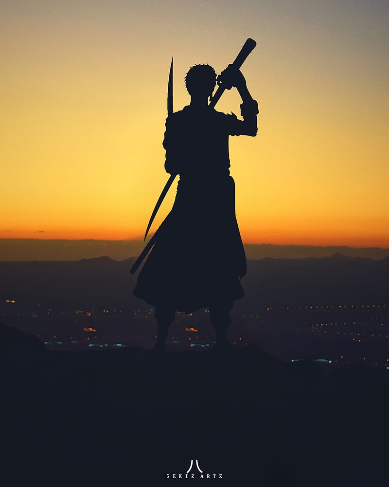 Roronoa Zoro Silhouette