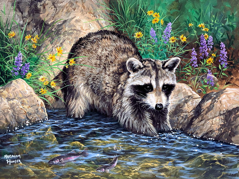 The Masked Fisherman, water, stones, painting, flowers, creek, raccoon, artwork, HD wallpaper