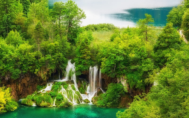 Plitvice lakes, waterfall, forest, green trees, Plitvice Lakes National Park, Croatia, ecology concepts, HD wallpaper