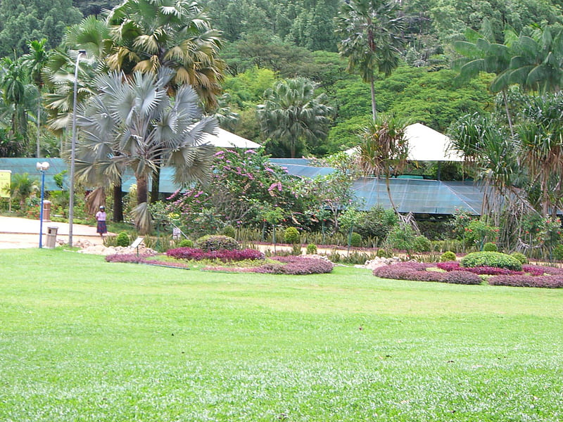 Lake Gardens in Kuala Lumpur, garden, trees, HD wallpaper