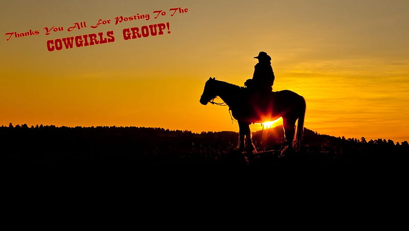 Thanks For Posting..., sign, sunset, horse, cowboy, thanks, HD wallpaper