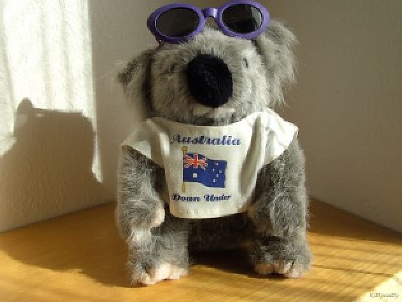 ~ღ.Plush Koala.ღ~ , cozy, Koala, cuddly, sweet, sunglasses, plush, love, Australia, animals, HD wallpaper