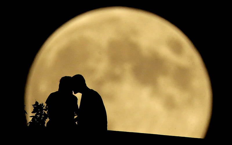 Full Moon Lovers, Lovers, Moon, Full, Silhouette, HD wallpaper