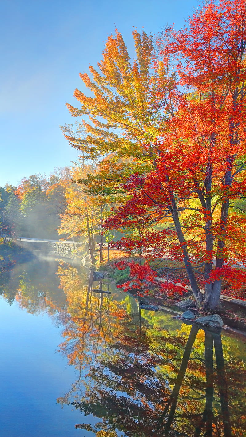 Lake, autumn, fall, fall nature, fall scenes, landscapes, nature, scenes, sky, sunset, HD phone wallpaper