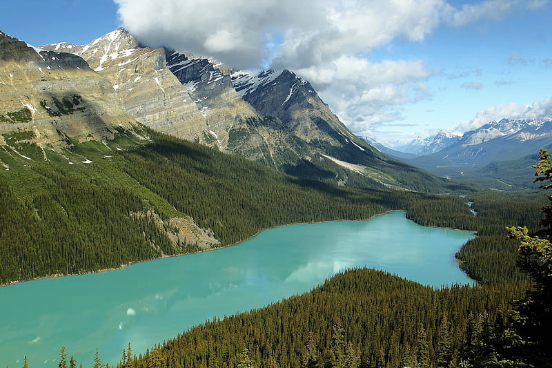 Peyto Lake, Alberta, Canada, Forest, Mountains, Canada, Peyto Lake, Alberta, Blue, HD wallpaper