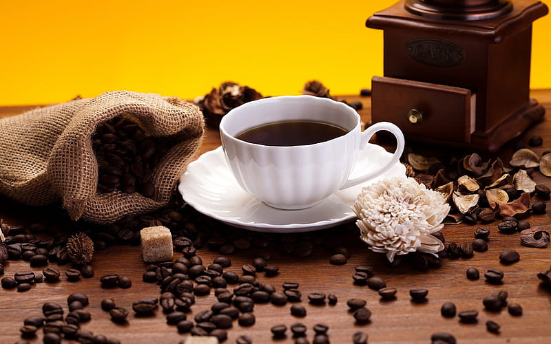 coffee, cup, grinder, coffee beans, drinks, Food, HD wallpaper