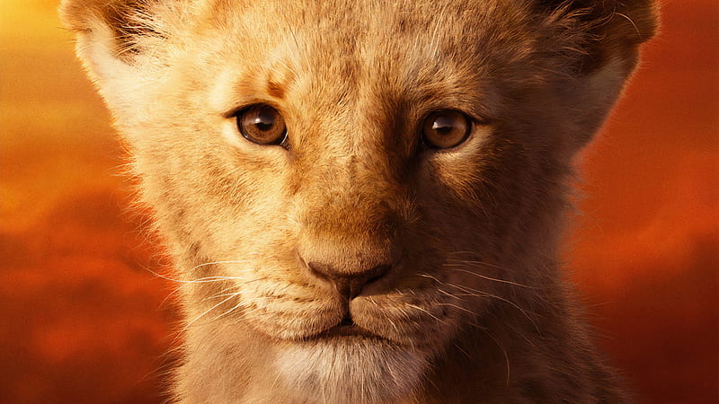 The Lion King 2019 Poster Fantasy Leu Cub Hd Wallpaper Peakpx - The Lion King Wallpaper Hd