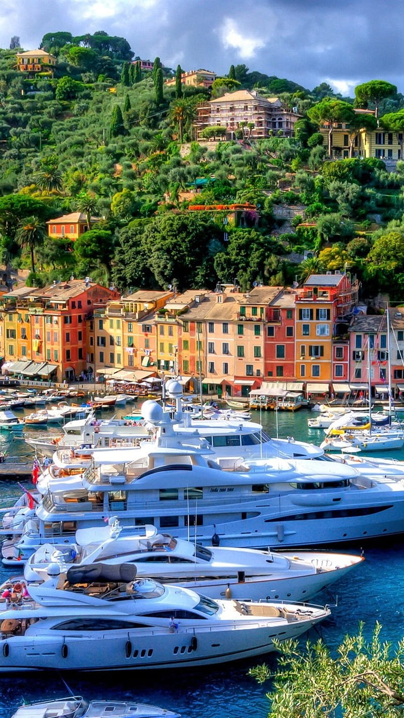 Italy, Portofino, Harbour, City, Yachts, Trees IPhone 8 7 6 6S , Background, HD phone wallpaper
