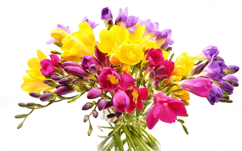 Bright sias, yellow, vase, spring, sia, glass, green, purple, bouquet, flower, white, pink, HD wallpaper