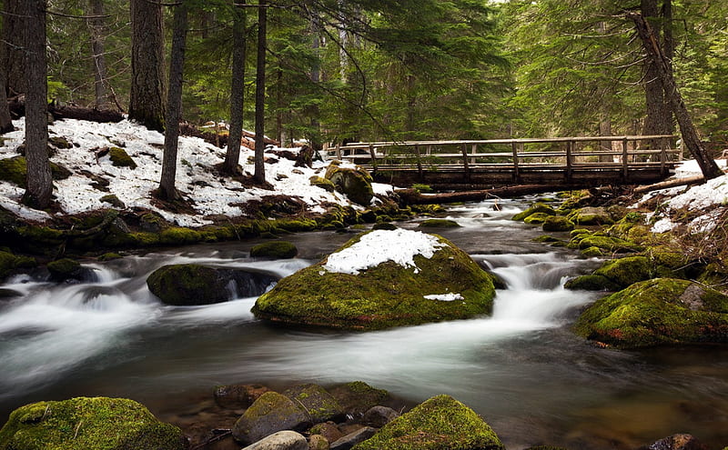 Cold Spring Creek, California, architecture, forest, rocks, trees, winter, cold, water, green, snow, bridge, nature, river, white, HD wallpaper