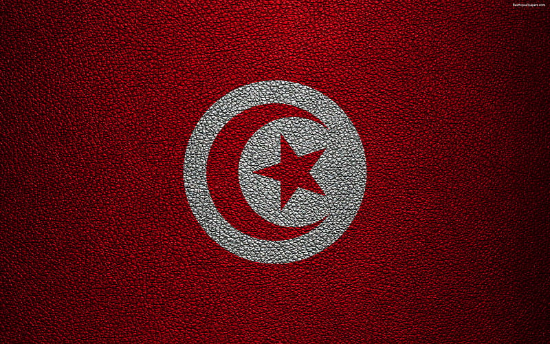 Flag of Tunisia, Africa leather texture, Tunisian flag, flags of African countries, Tunisia, HD wallpaper