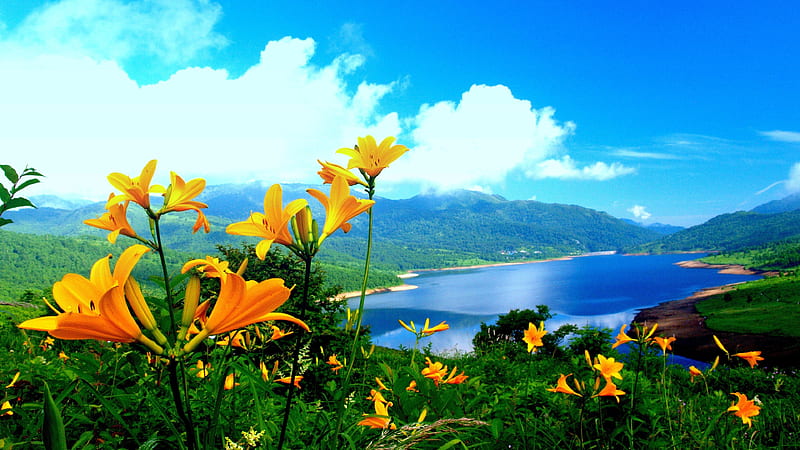 Beautiful Scenery View Of Body Of Water Surrounded By Green Trees Covered Mountains And Closeup View Yellow Flowers Plants Under Blue Sky Nature, HD wallpaper