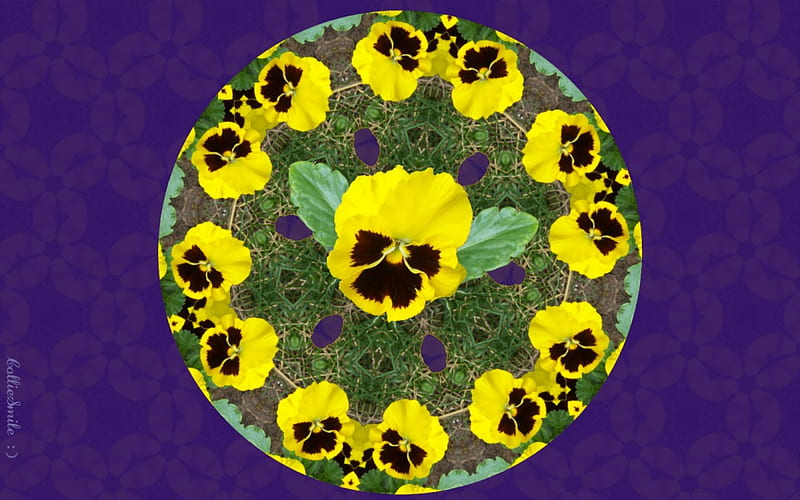 Pick-me-up Pansy, circle, grass, bloom, circular, yellow, pansy, floral, monkey, leaves, blossom, green, pansies, flowers, b1oom, florals, spring, b1ooms, leaf, purple, purp1e, flower, summer, garden, violet, HD wallpaper