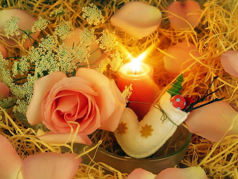 Christmas Candle light, Christmas, Holidays, orange, Miscellaneous, Rose, Candle, HD wallpaper