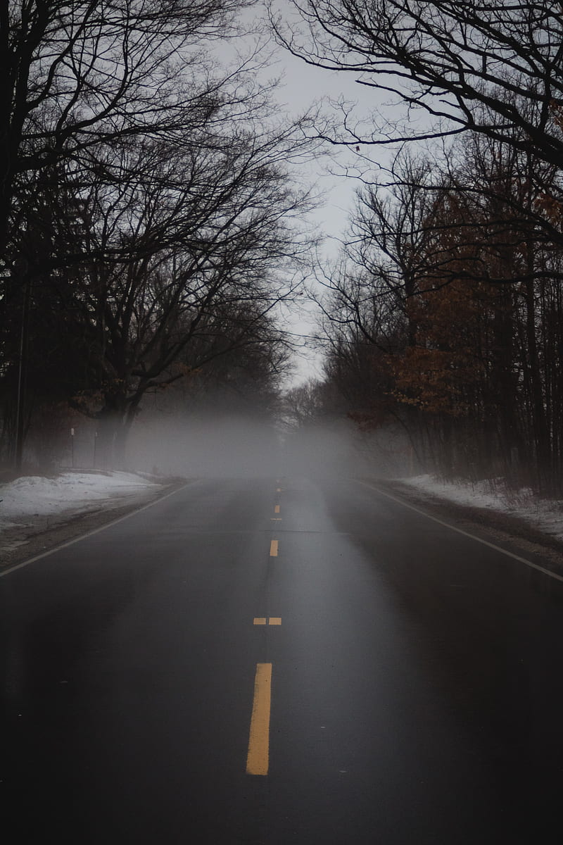 road, fog, alley, trees, HD phone wallpaper