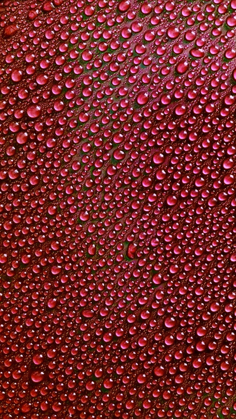 red rain, waterdrops, rain, red, abstract, nature water, drops, HD phone wallpaper